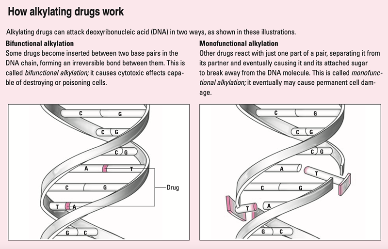 Alkylating-Mechanism.png