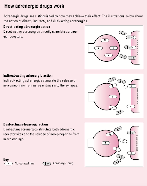 Adrenergic-Mechanism.png