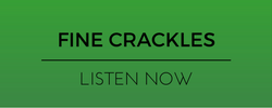 fine crackles breath sound