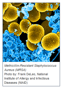 National Action Plan for Combating Antibiotic-Resistant Bacteria mrsa