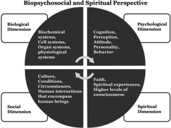 Figure. Biopsychosoc... - Click to enlarge in new window