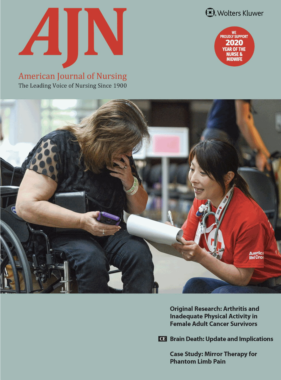 AJN, American Journal of Nursing