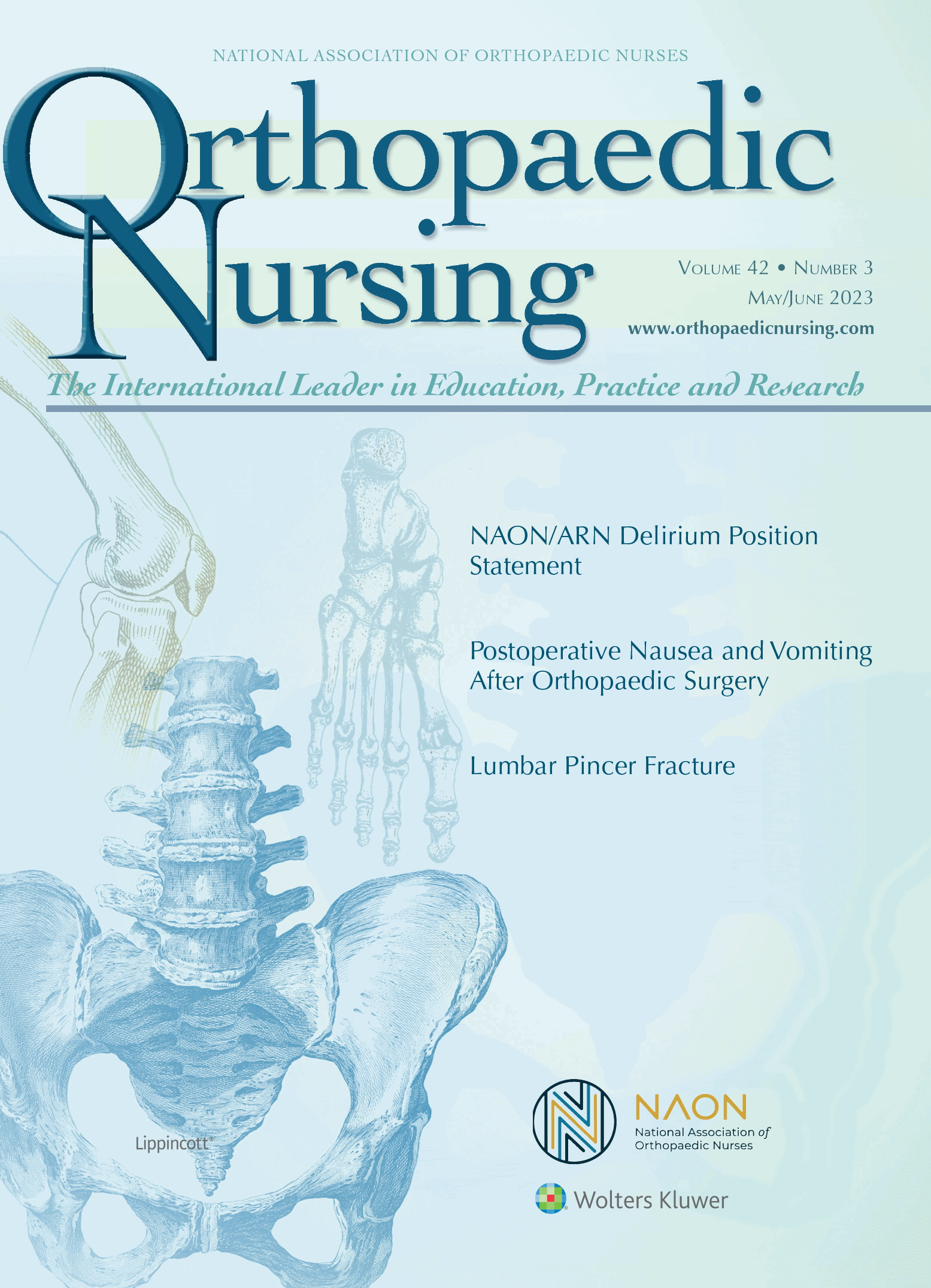 Orthopaedic Nursing