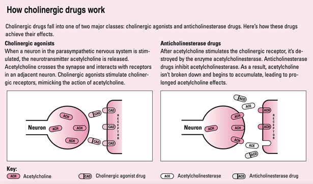 Cholinergic_How-Do-They-Work.png Cholinergic_How-Do-They-Work.png