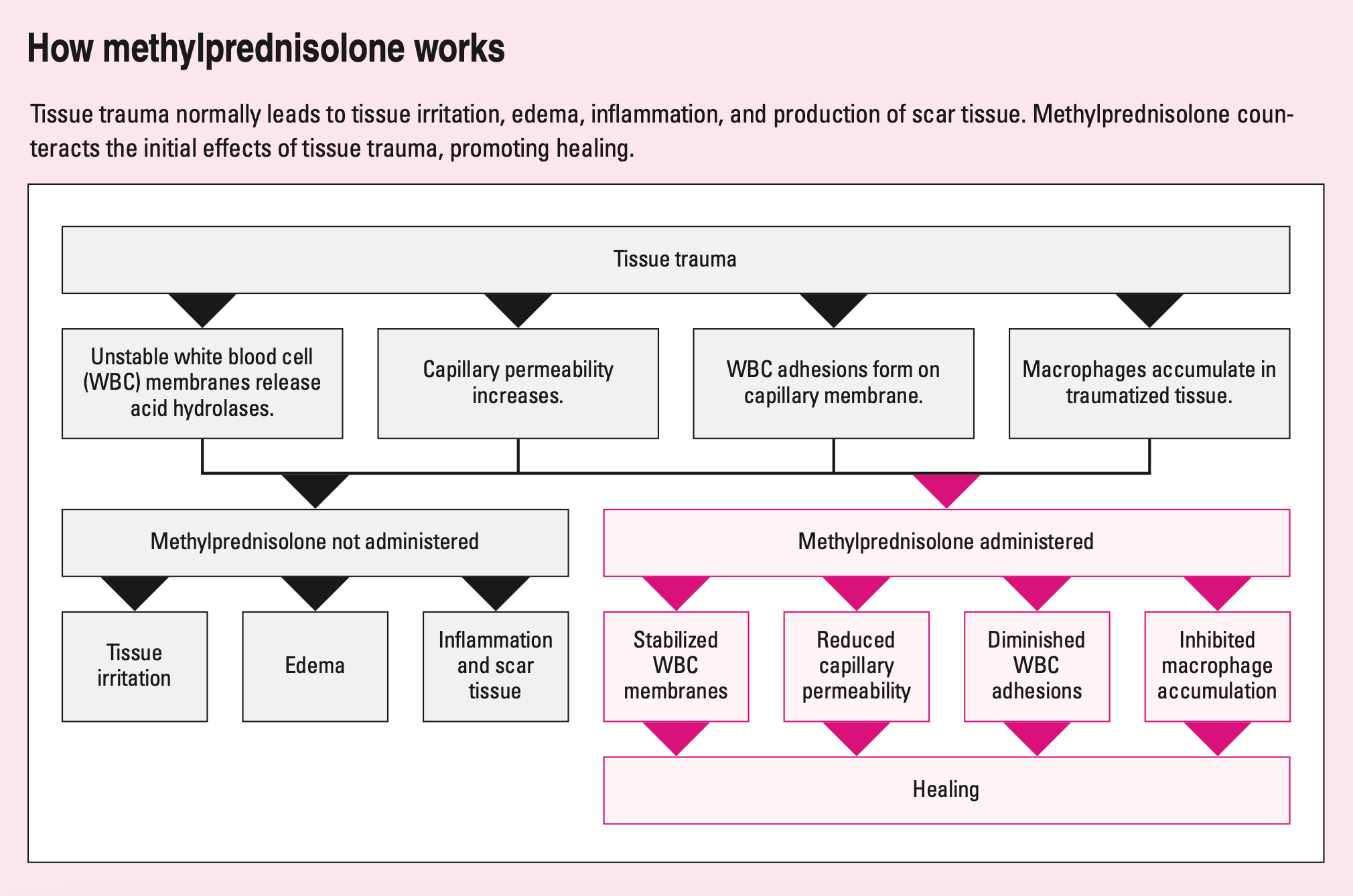 Methylprednisolone-Mechanism.png